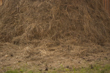 Similar image 21037127