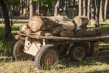 Similar image 21041767