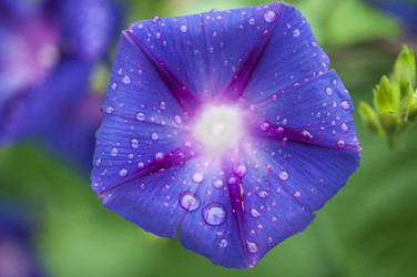 Similar image 21041945