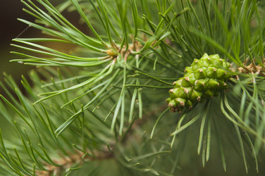 Similar image 21041946