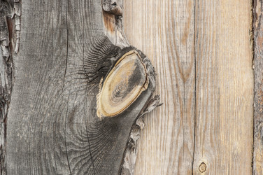 Similar image 21053786