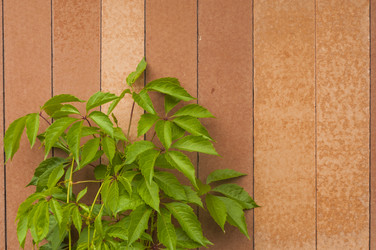 Similar image 21053789