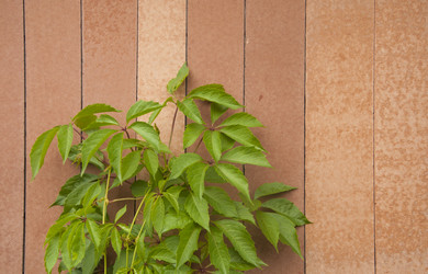 Similar image 21053790