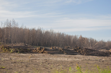 Similar image 21055699