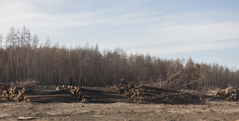 Similar image 21055700