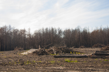 Similar image 21055701