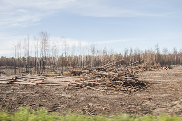 Similar image 21061572