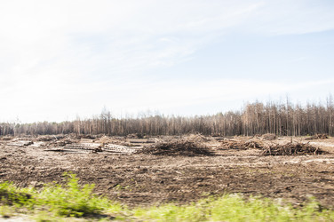 Similar image 21061573