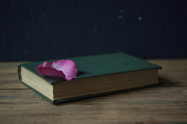 Similar image 21069045