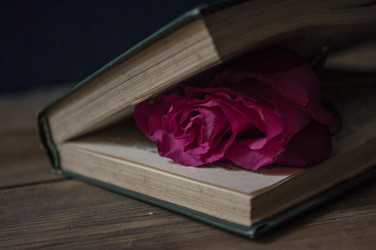 Similar image 21069048