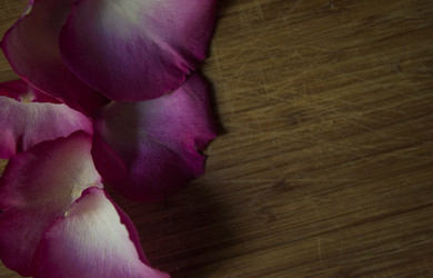 Similar image 21069050