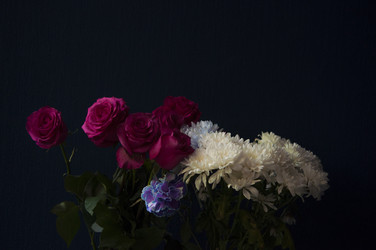 Similar image 21069053