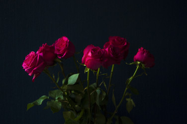 Similar image 21069054