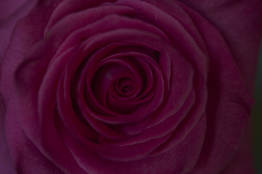 Similar image 21069262