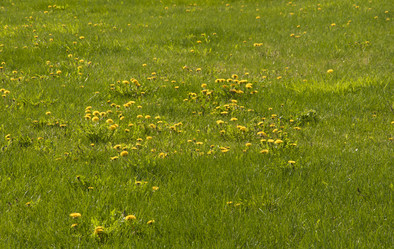 Similar image 21069383