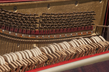 Similar image 21069384