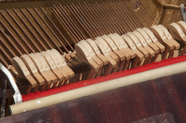 Similar image 21073446