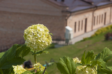 Similar image 21073719