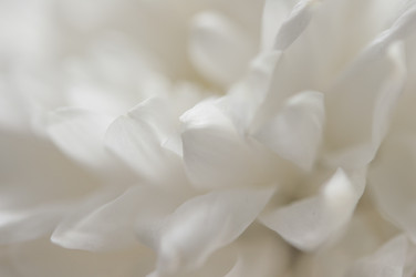 Similar image 21073721