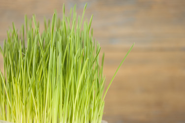 Similar image 21036387