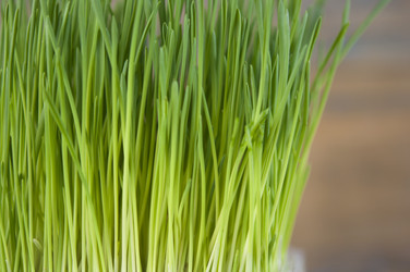 Similar image 21036668