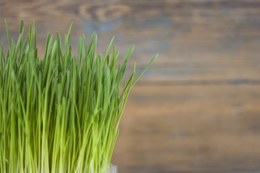 Similar image 21036669