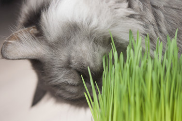 Similar image 21036933