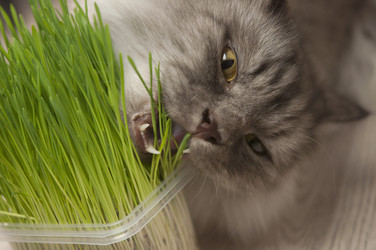 Similar image 21036935