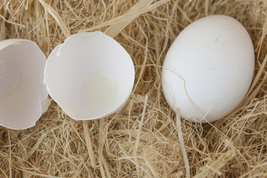 Similar image 21061674