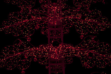 Similar image 21061970