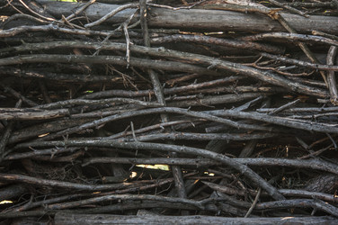 Similar image 21069068