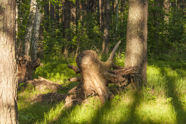 Similar image 21069386