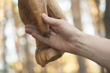 Similar image 21073727