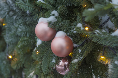 Similar image 21036389