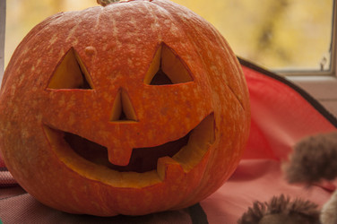 Similar image 21054053