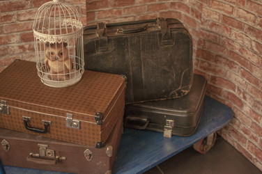 Similar image 21069271