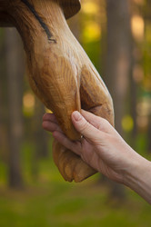 Similar image 21077181