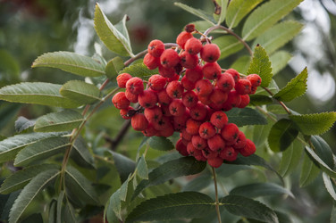 Similar image 21033878