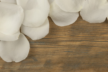 Similar image 21036396