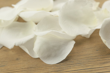 Similar image 21036466