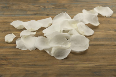 Similar image 21036674