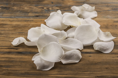 Similar image 21036944