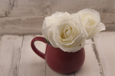 Similar image 21036948