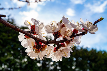 Similar image 21021644