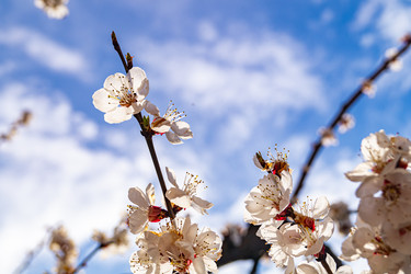 Similar image 21021645