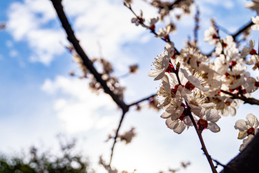 Similar image 21021646