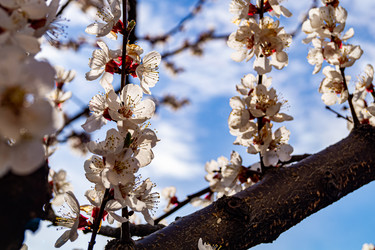 Similar image 21021647