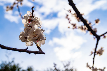 Similar image 21021648