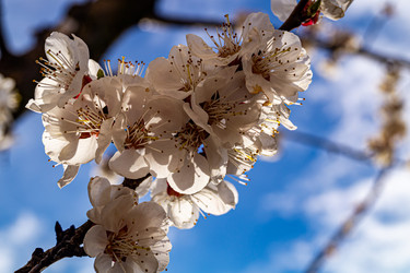 Similar image 21021649