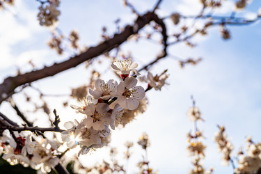 Similar image 21021650